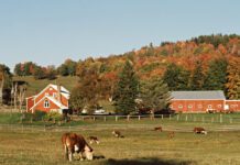 Top Bauernhöfe bei München