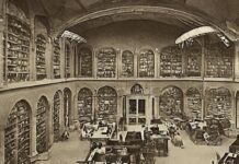 Зоологическая государственная коллекция Мюнхена