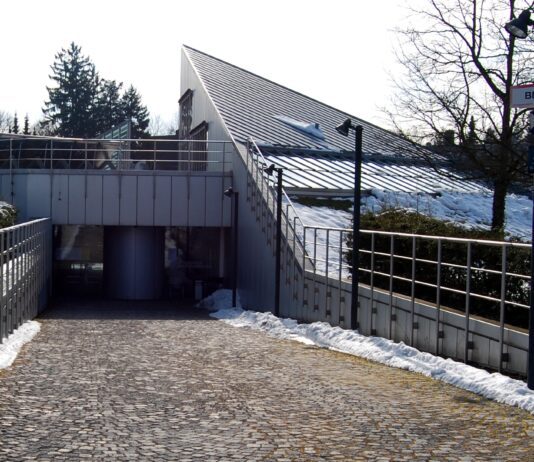 Zoologische Staatssammlung München: Forschung und Entdeckungen