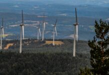 Вітрові електростанції у Мюнхені. Відновлювальні джерела енергії