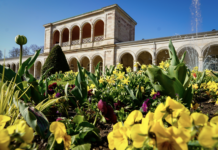 Курортно-рекреаційні ресурси Баварії