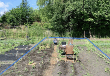 Die Böden Münchens