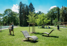 Grüner Tourismus: Spannende Entdeckungen in München und Umgebung