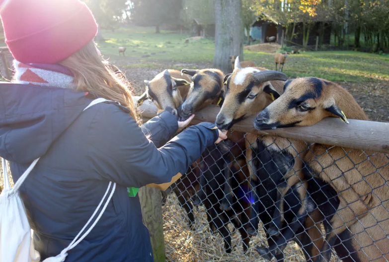 Wildpark Poing