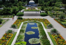 Парк Alter Botanischer Garten у Мюнхені: історія, фото та локація