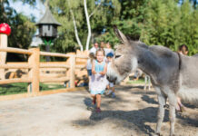 Die besten Zoos in München und Umgebung. Ausflugsziele für Familien mit Kindern