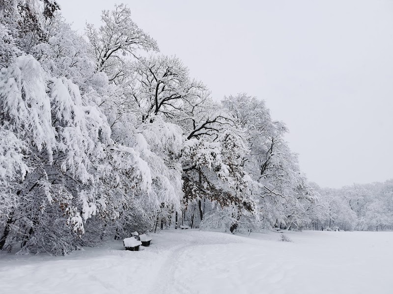 Bavariapark