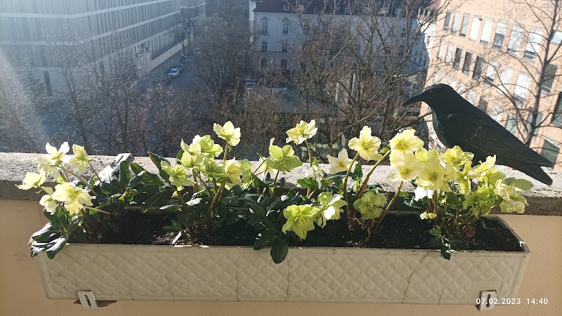 Blumen Paradies Sendlinger Tor U-Bahnhof