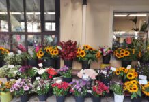 Blumen Schwabing