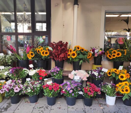 Blumen Schwabing