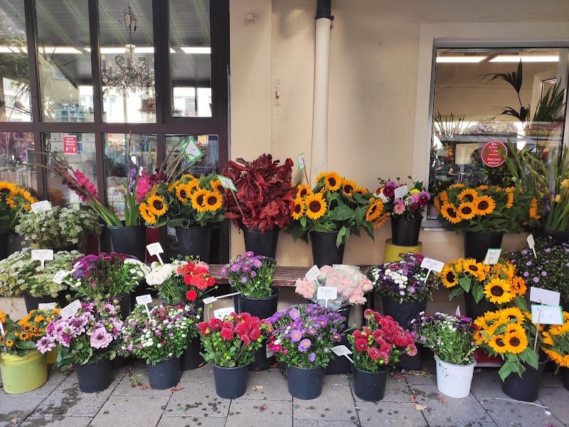 Blumen Schwabing