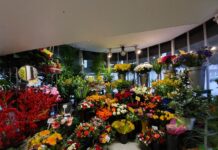 Blumen – Sonja