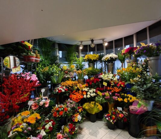 Blumen – Sonja