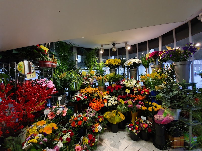 Blumen - Sonja