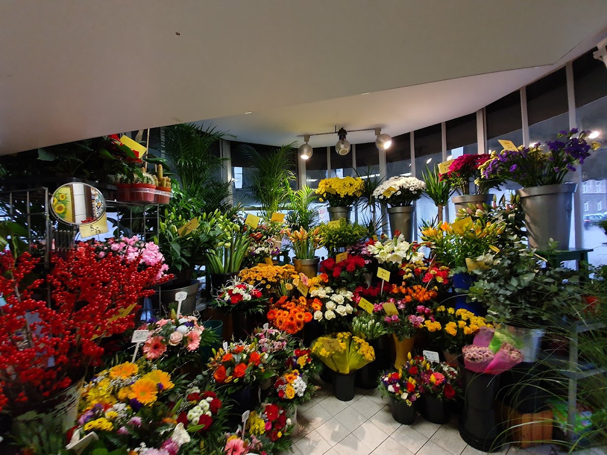 Blumen - Sonja — Florist