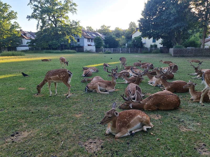 Hirschgarten