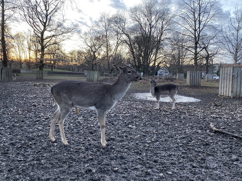 Hirschgarten