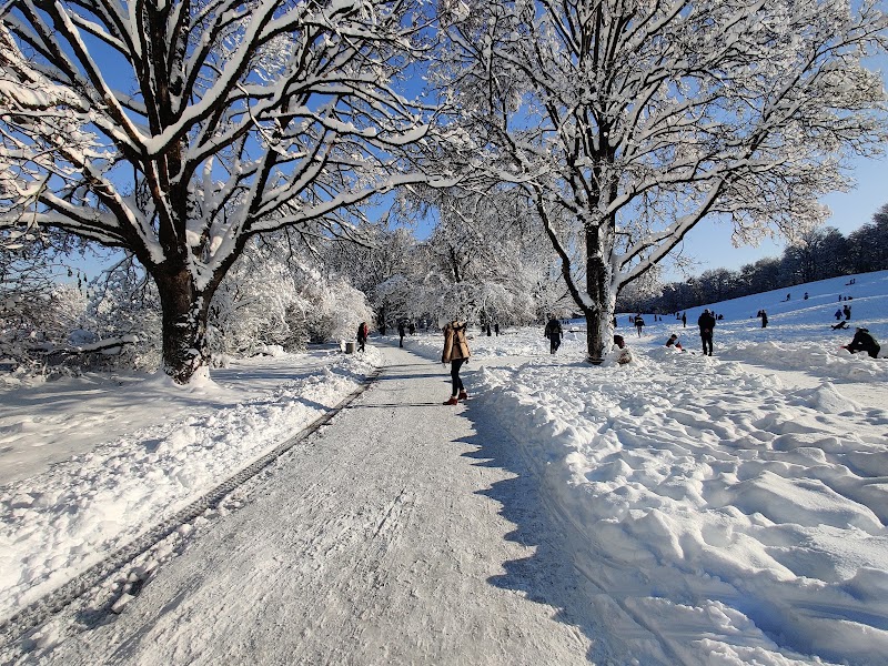 Luitpoldpark