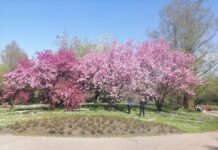 Ostpark