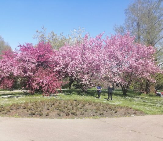 Ostpark