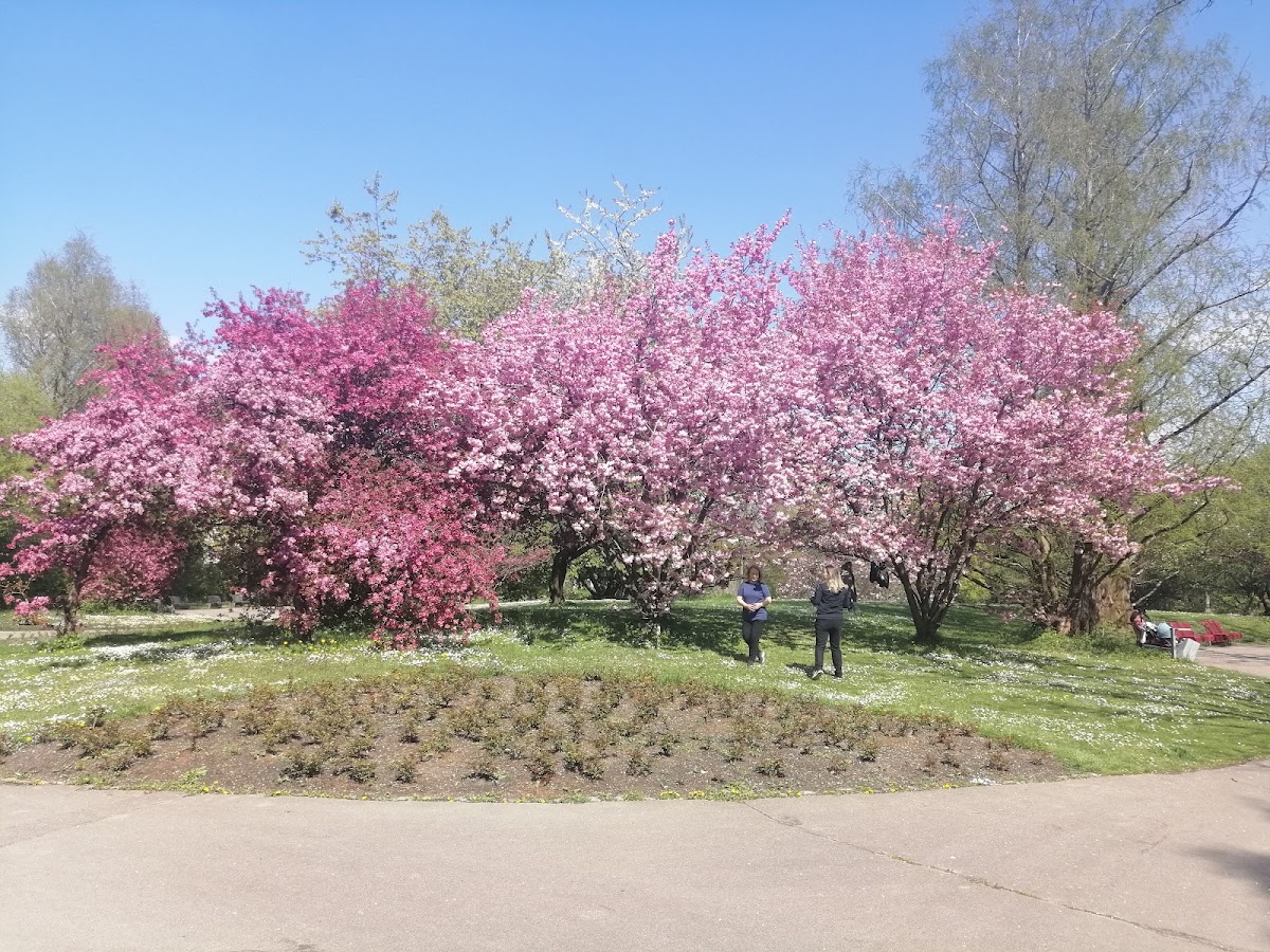 Ostpark — Park