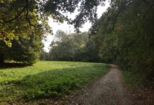 Pasinger Stadtpark