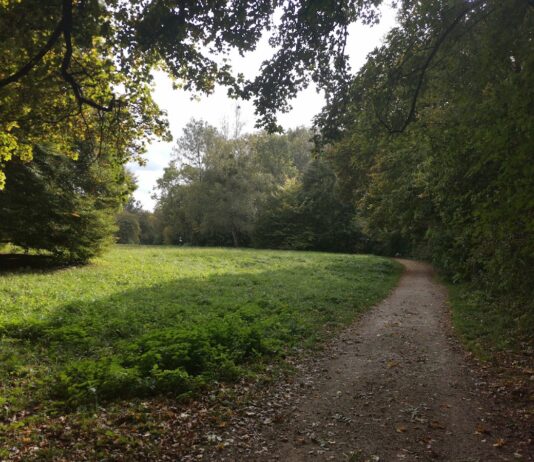 Pasinger Stadtpark