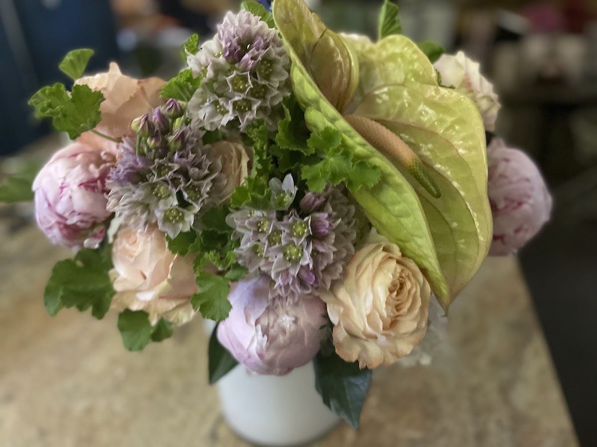 purpur Atelier für Floristik & Design - Blumenladen München | Blumenwerkstatt — Florist