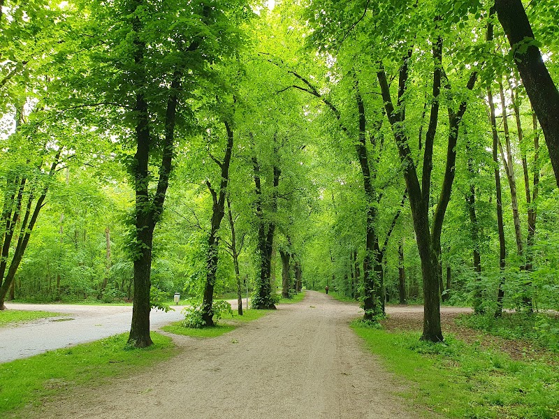 Südpark