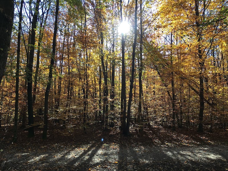 Südpark